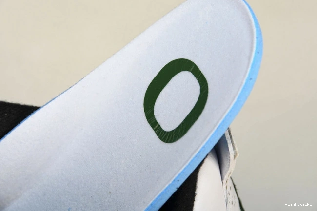 257-255275 Oregon Duckman 4 Jordan Retro Ducks 1107